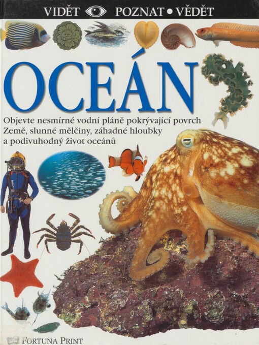 Oceán