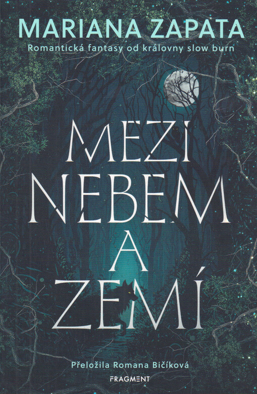 Mezi nebem a zemí