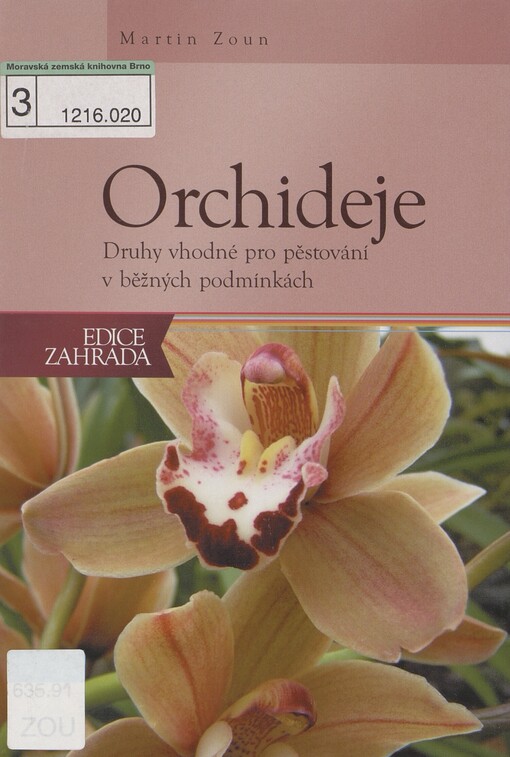 Orchideje: druhy vhodné pro pěstování v domácích podmínkách
