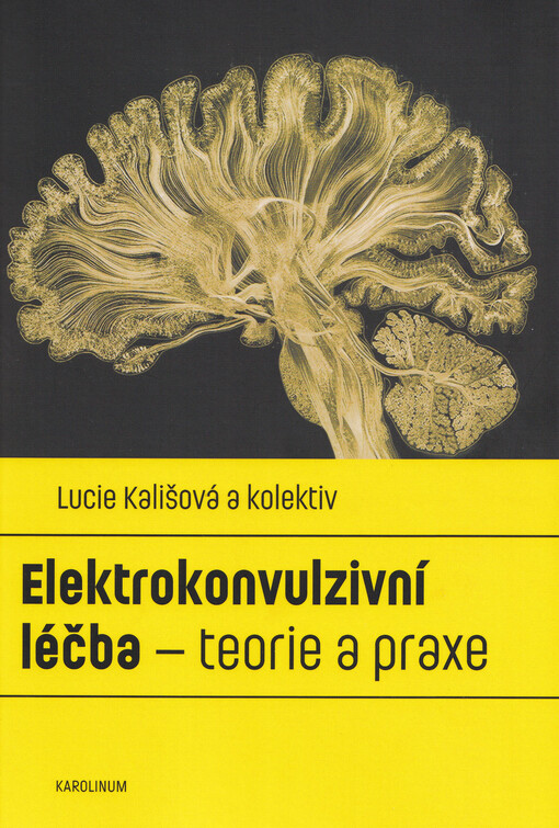Elektrokonvulzivní léčba - teorie a praxe