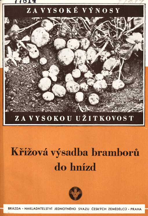 Křížová výsadba bramborů do hnízd