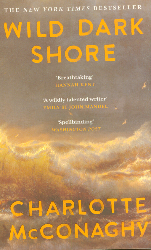 Wild dark shore