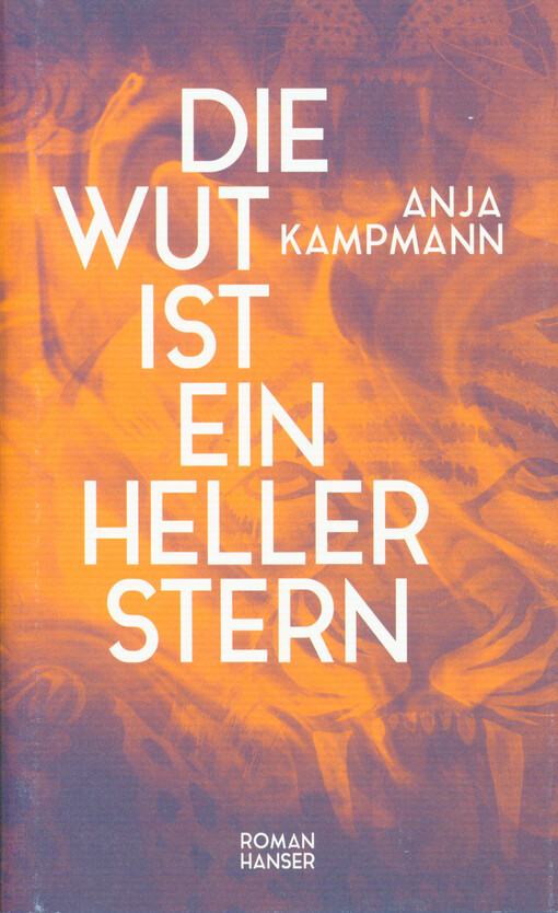 Die Wut ist ein heller Stern : Roman