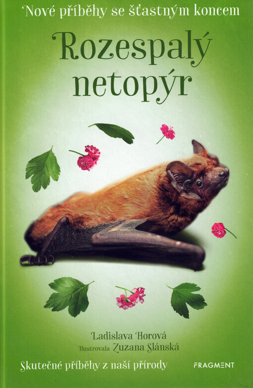 Rozespalý netopýr