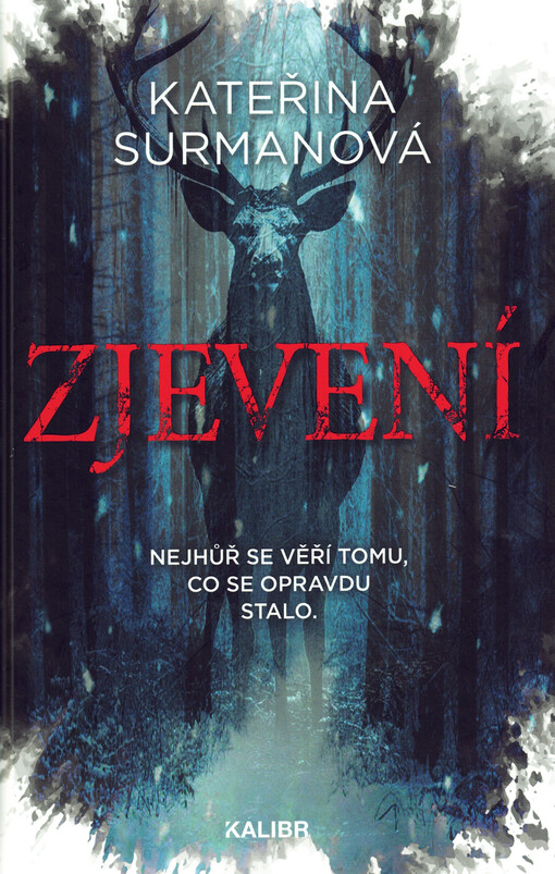 Zjevení : nejhůř se věří tomu, co se opravdu stalo