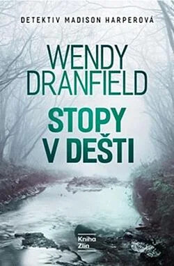 Stopy v dešti