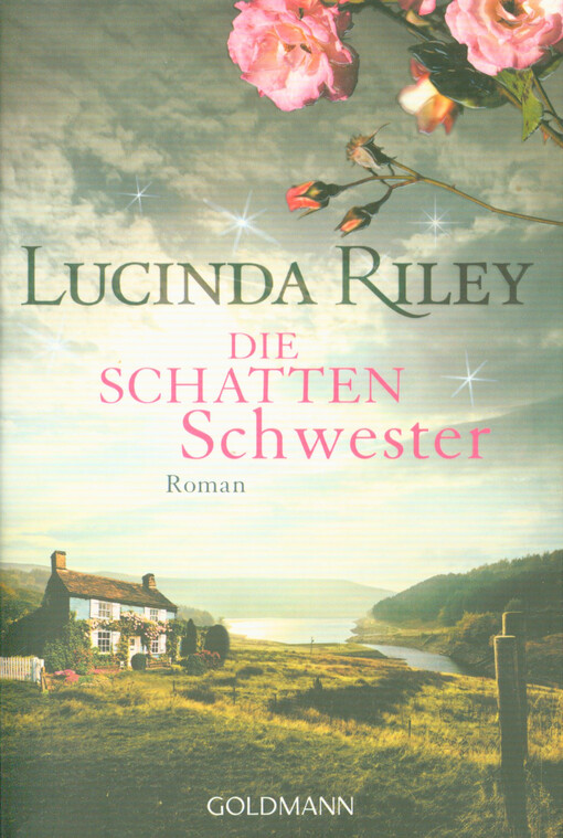 Die Schattenschwester : Roman