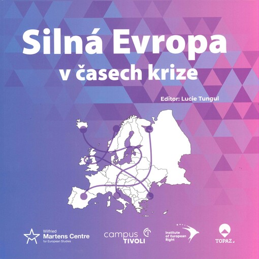Silná Evropa v časech krize