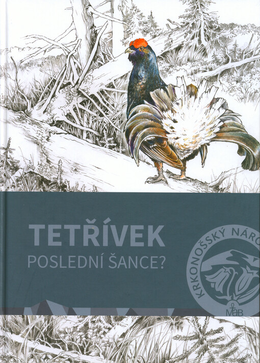 Tetřívek - poslední šance?
