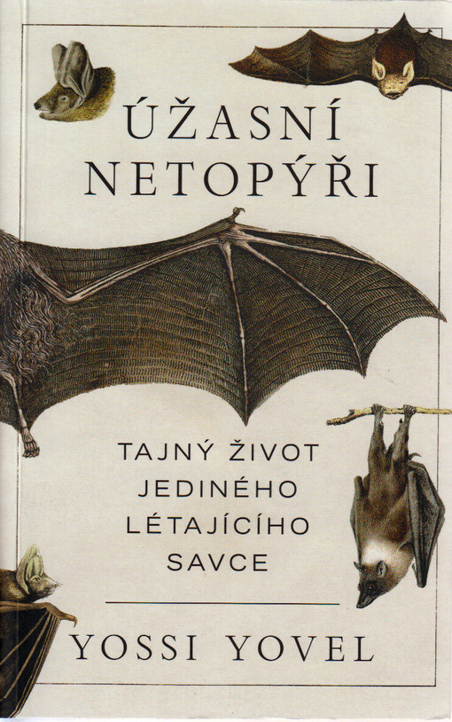 Úžasní netopýři : tajný život jediného létajícího savce