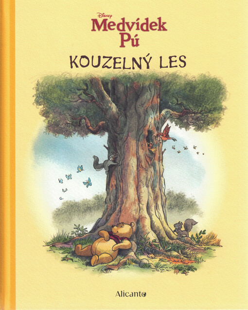 Medvídek Pú : kouzelný les : pro někoho poklad
