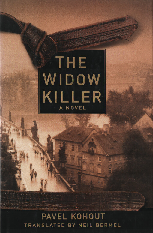 The widow killer : a novel