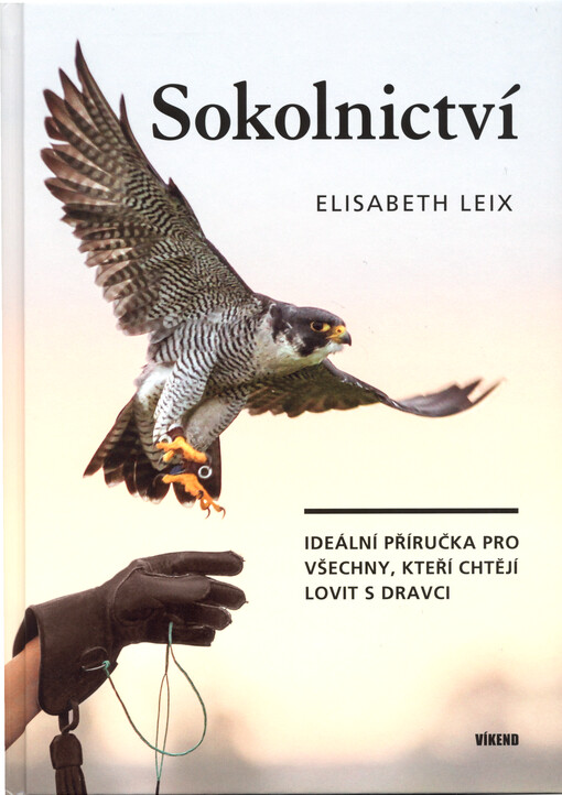 Sokolnictví