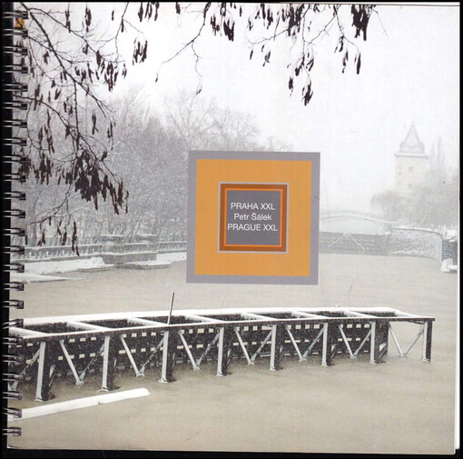 Praha XXL : Prague XXL ; Tělo = Body : [katalog fotografií Petra Šálka vydaný u příležitosti výstavy na Staroměstské radnici v Praze 2005 = catalogue of photographs by Petr Šálek for the occasion of his exhibition in the Old Town Hall in Prague, 2005]