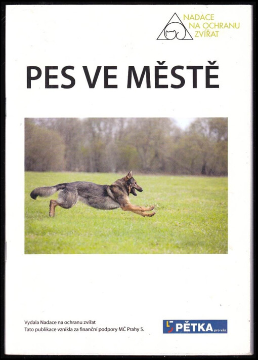 Pes ve městě