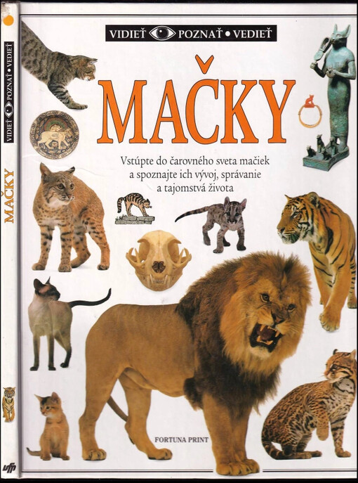 Mačky