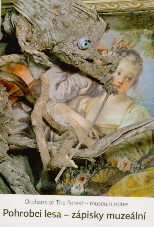 Pohrobci lesa - zápisky muzeální = Orphans of the forest - museum notes