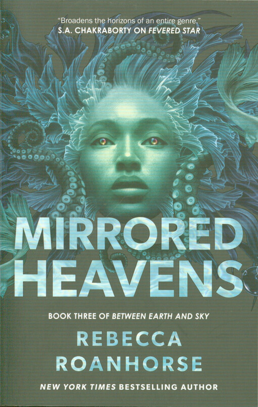 Mirrored heavens