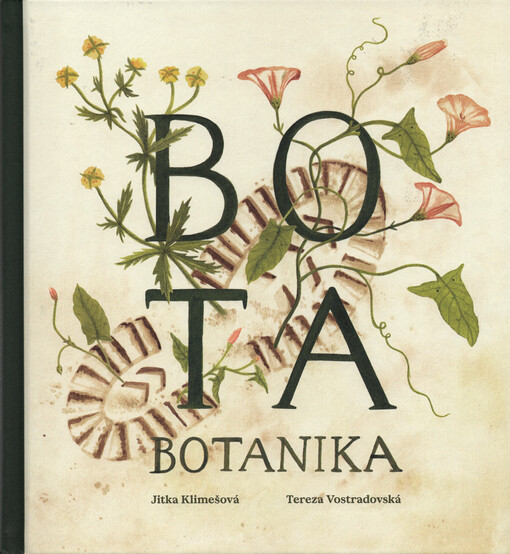 Bota botanika
