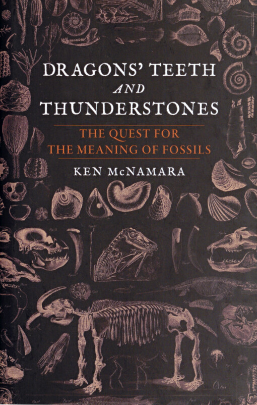Dragon's teeth and thunderstones