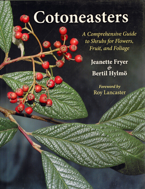 Cotoneasters