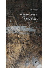 A zase zkusíš ráno vstát  (odkaz v elektronickém katalogu)