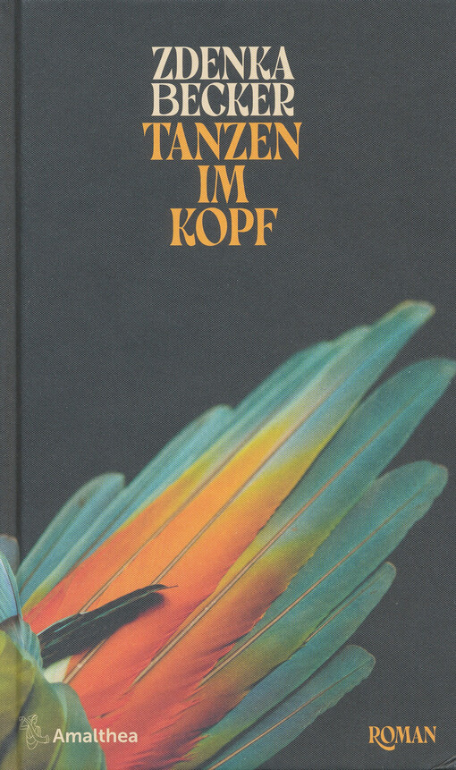 Tanzen im Kopf : Roman