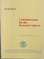 Unwetterszenen bei den flavischen Epikern