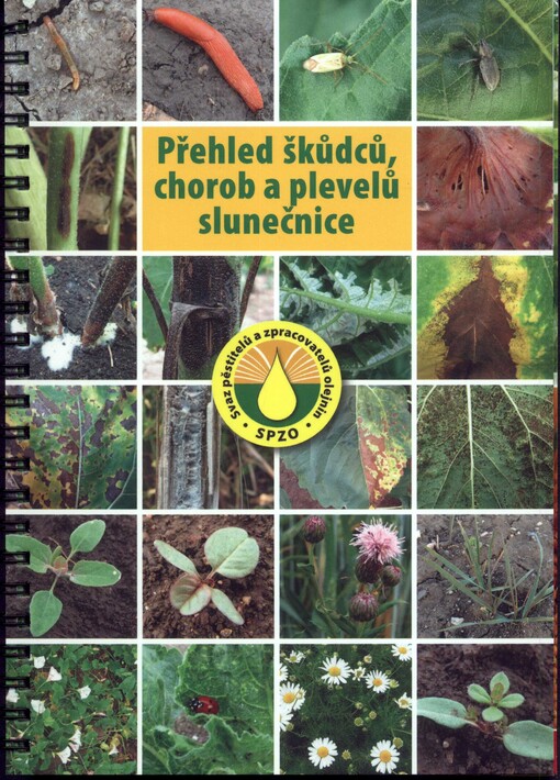 Přehled škůdců, chorob a plevelů slunečnice 