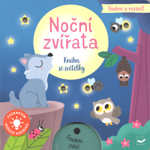 Noční zvířata