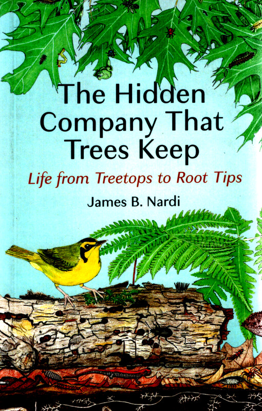 The hidden company that trees keep : life from treetops to root tips