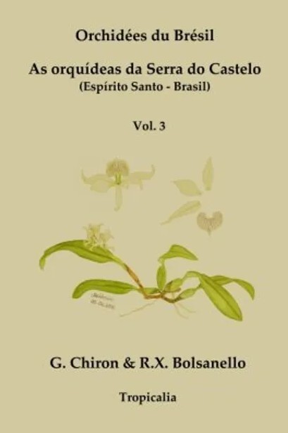 Orchidées du Brésil : contribution à l'inventaire de la flore d'orchidées de l'Espírito Santo = As orquídeas da Serra do Castelo (Espírito Santo, Brasil) : contribuição à flora de orquídeas do Espírito Santo. Vol. 3, Epidendroideae (Epidendreae, Cymbidieae, Vandeae)