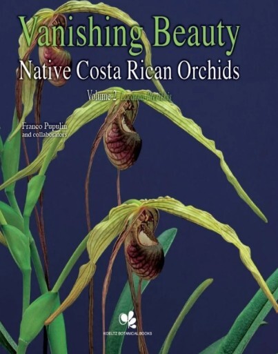 Vanishing beauty : native Costa Rican orchids. Vol. 2, Lacaena-Pteroglossa