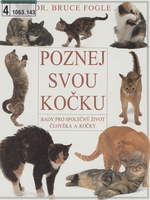 Poznej svou kočku: rady pro společný život člověka a kočky