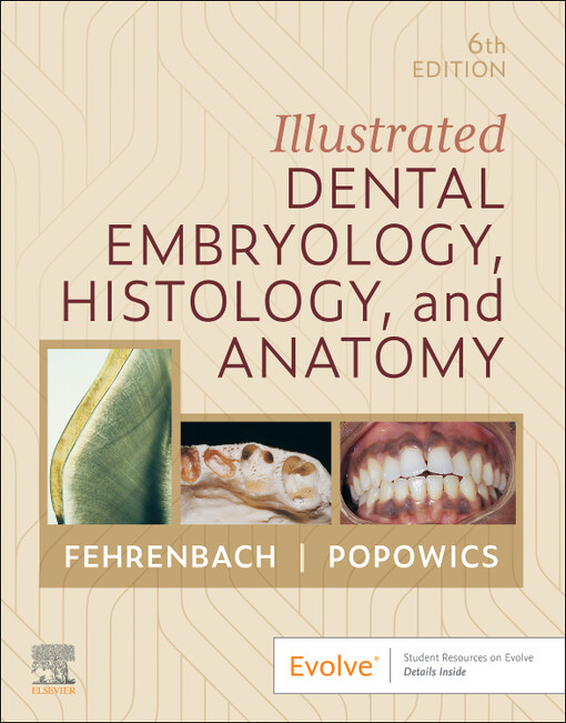 Illustrated dental embryology, histology, and anatomy