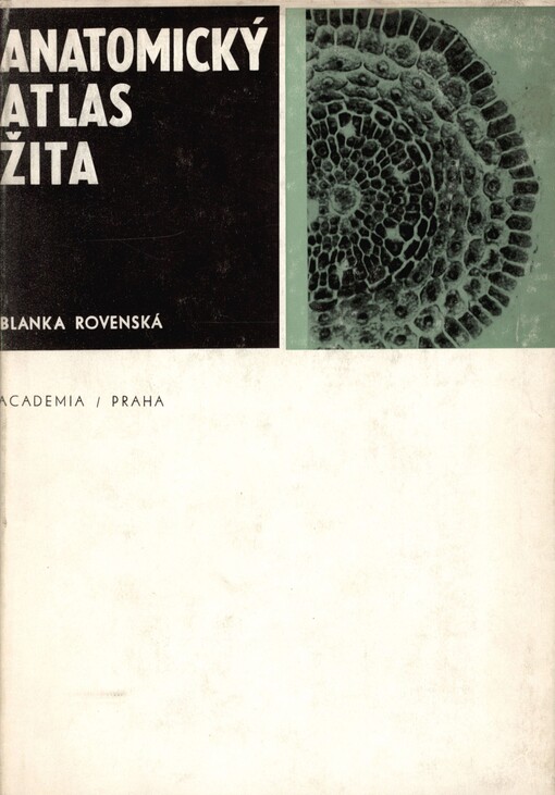Anatomický atlas žita