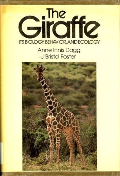 The giraffe :