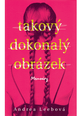 Takový dokonalý obrázek : memoáry  (odkaz v elektronickém katalogu)