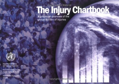 The injury chart book : a graphical overview of the global burden of injuries