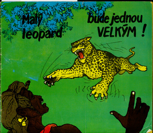 Malý leopard bude jednou velkým!