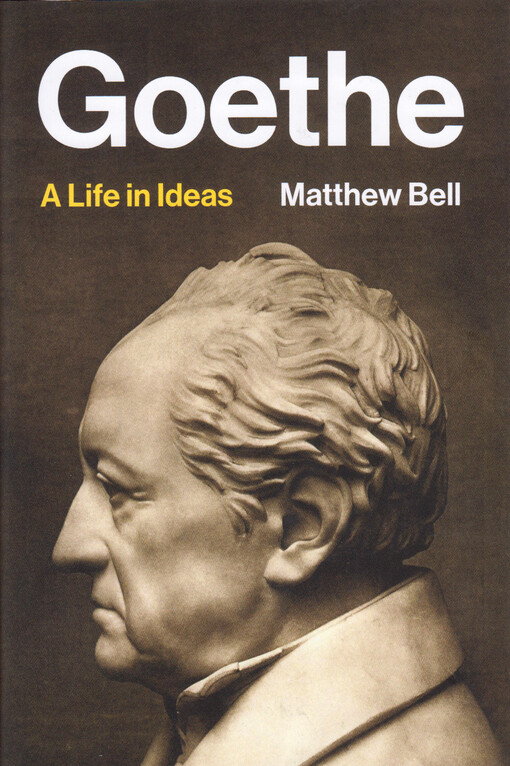 Goethe : a life in ideas