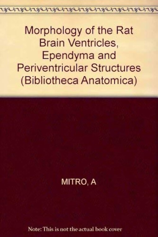 Morphology of the rat brain ventricles, ependyma, and periventricular structures