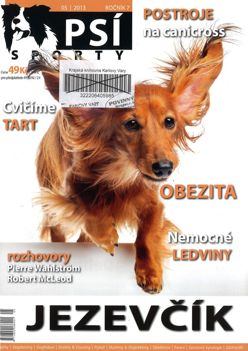 Psí sporty : agility - dogdancing - dogfrisbee - dostihy & coursing - flyball - mushing & dogtrekking - pasení - sportovní kynologie - záchranáři