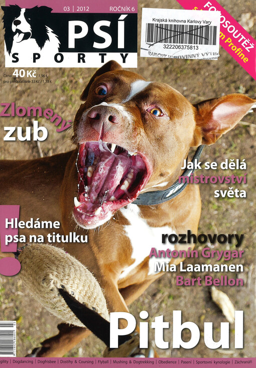 Psí sporty : agility - dogdancing - dogfrisbee - dostihy & coursing - flyball - mushing & dogtrekking - pasení - sportovní kynologie - záchranáři