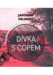 Dívka s copem (odkaz v elektronickém katalogu)