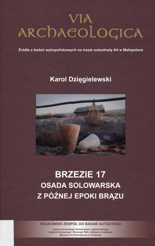 Brzezie 17 : osada solowarska z późnej epoki brązu