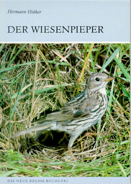 Der Wiesenpieper :Anthus pratensis