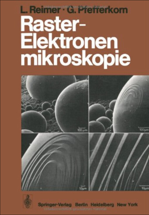 Raster-Elektronenmikroskopie