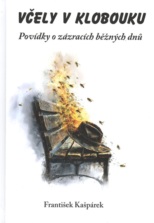 Včely v klobouku : povídky o zázracích běžných dnů