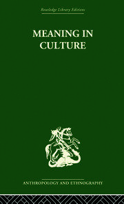 Meaning in culture